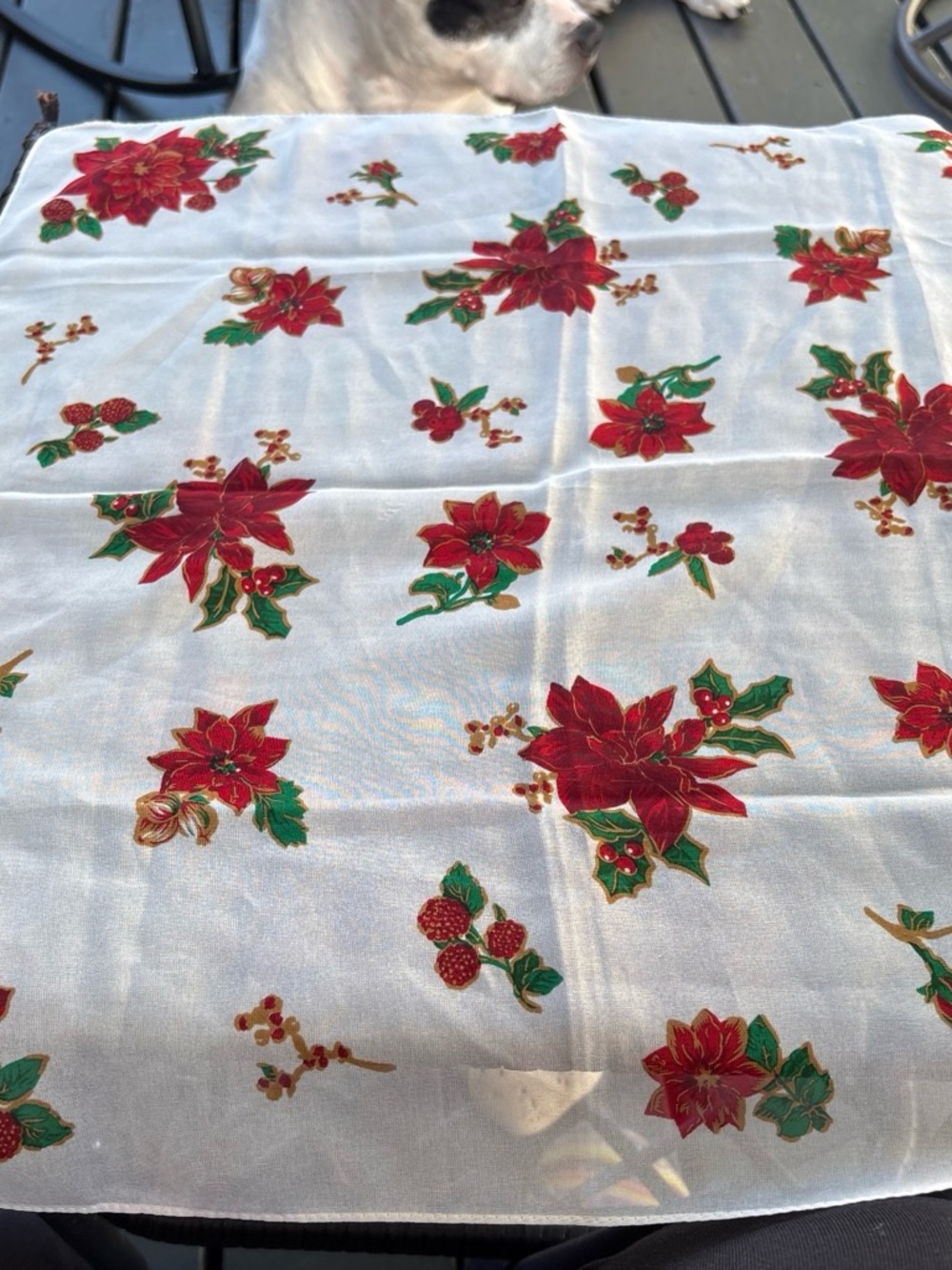 Source Unknown Red Poinsettia Holiday Tablecloth - White Background